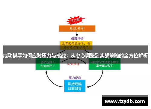 成功棋手如何应对压力与挑战：从心态调整到实战策略的全方位解析