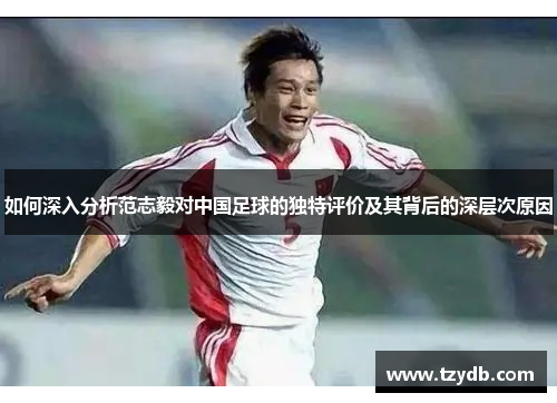 如何深入分析范志毅对中国足球的独特评价及其背后的深层次原因