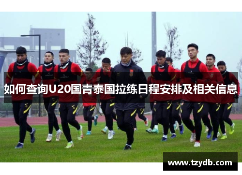 如何查询U20国青泰国拉练日程安排及相关信息