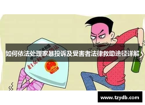 如何依法处理家暴投诉及受害者法律救助途径详解