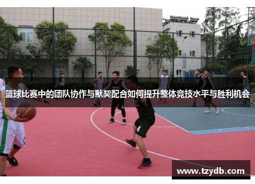 篮球比赛中的团队协作与默契配合如何提升整体竞技水平与胜利机会